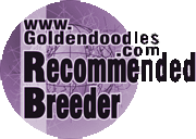 GoldenDoodles.com