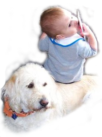Doodles are great with kids of all ages Doodles are great with kids of all ages