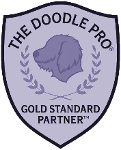 The Doodle Pro