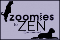 Zoomies to Zen