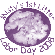 Misty's a Momma