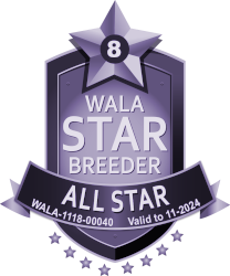 WALA All Star